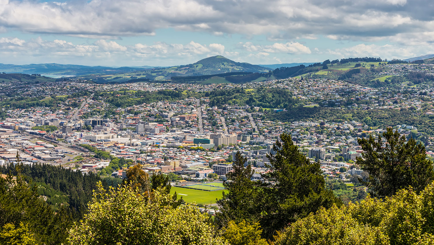 Future Dunedin